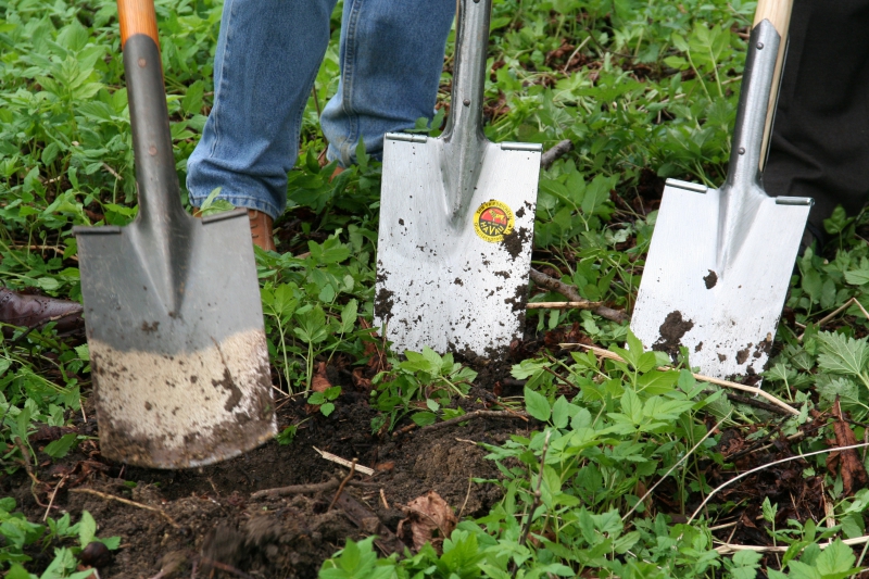 pepiniere-VILLENEUVE LOUBET-min_work-lawn-flower-tool-green-backyard-1103633-pxhere.com